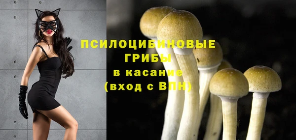 apvp Богородицк