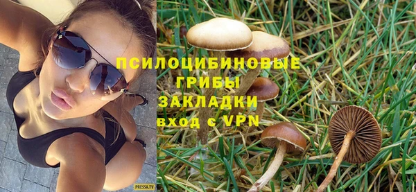 spice Бородино