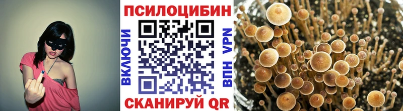 Псилоцибиновые грибы Psilocybe как найти наркотики Верещагино